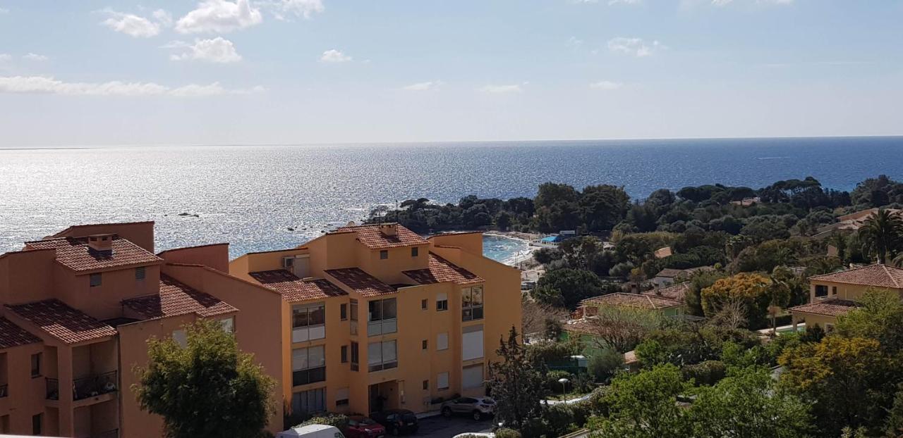Grand Studio de standing bord de mer Ajaccio  Buitenkant foto