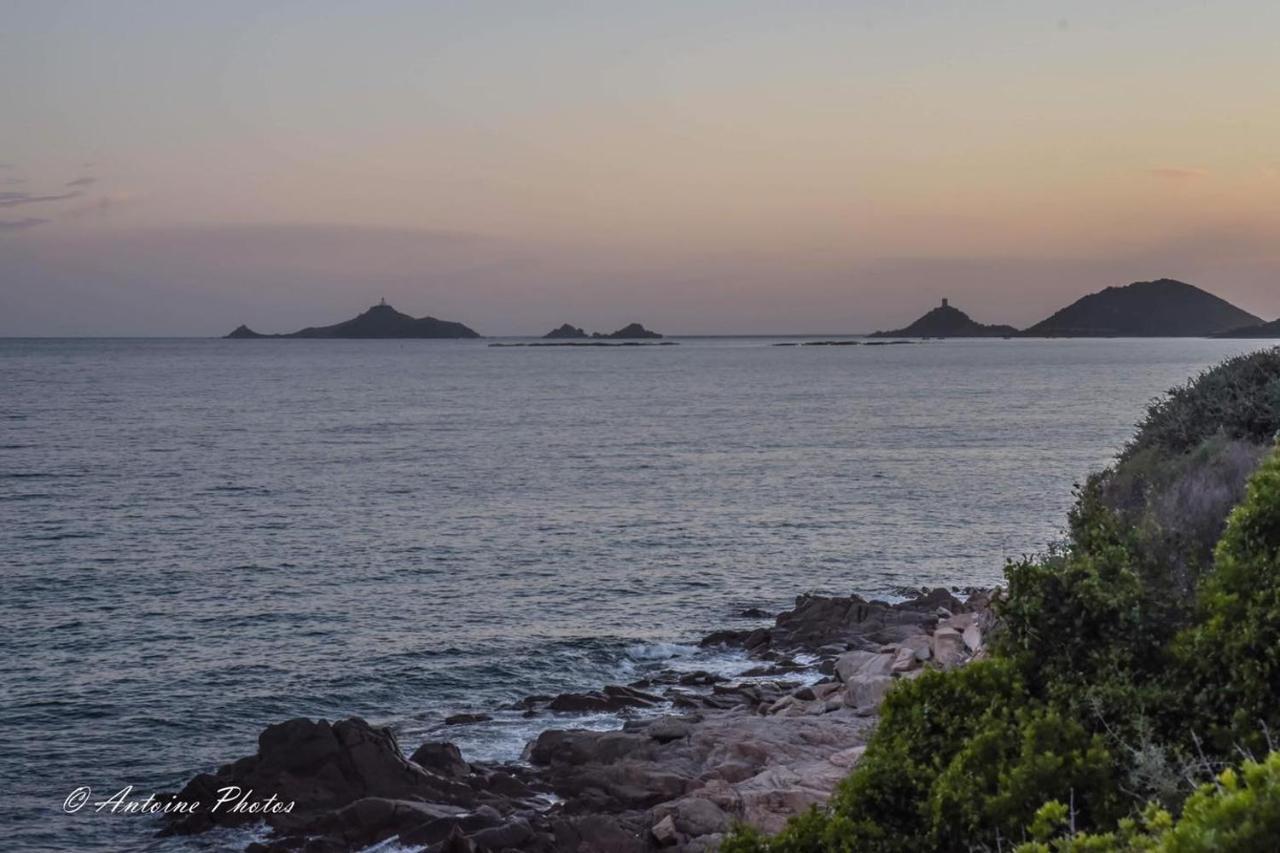Grand Studio de standing bord de mer Ajaccio  Buitenkant foto